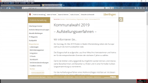 Bildzitat Screenshot Homepage der Stadt Überlingen, Infos zum Aufstellungsverfahren